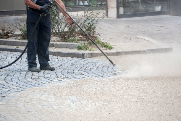 Best Gutter Cleaning  in Cedar Ridge, CA